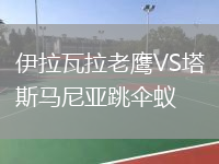 伊拉瓦拉老鷹VS塔斯馬尼亞跳傘蟻