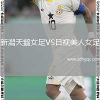 新潟天鵝女足VS日視美人女足