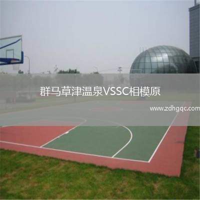 群馬草津溫泉VSSC相模原