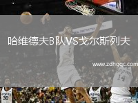 哈維德夫B隊VS戈爾斯列夫