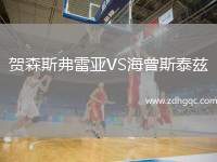 賀森斯弗雷亞VS海曾斯泰茲