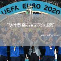 FV杜登霍芬VS沃爾姆斯