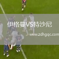 伊格曼VS特沙尼