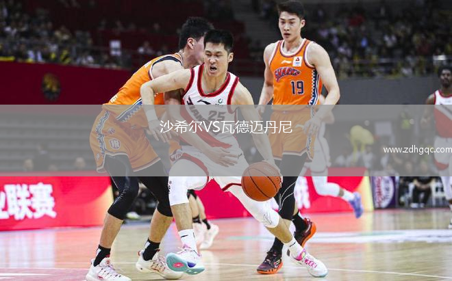 沙希爾VS瓦德邁丹尼