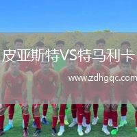 皮亞斯特VS特馬利卡