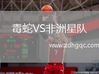 毒蛇VS非洲星隊(duì)