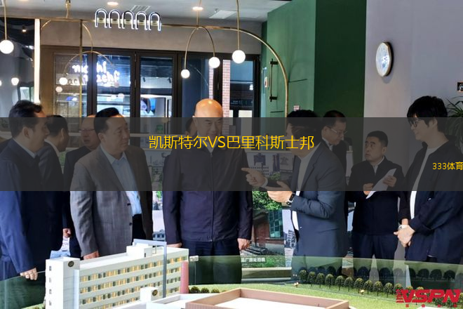 帕尼維斯VS黑格爾曼