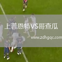 上普恩特VS哥查瓜