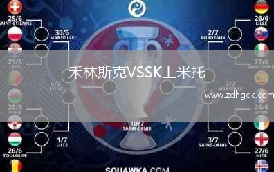禾林斯克VSSK上米托