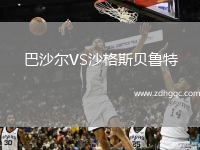 巴沙爾VS沙格斯貝魯特