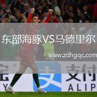東部海豚VS馬德里爾
