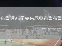 布魯明VS圣安東尼奧布魯布魯