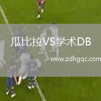 瓜比拉VS學術DB
