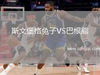 斯文堡格兔子VS巴根熊