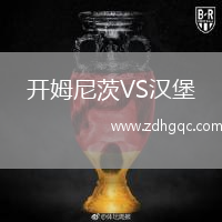 開姆尼茨VS漢堡