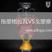 拖里格拉瓦VS戈里察