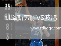 凱澤斯勞滕VS波鴻