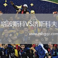 塔波斯科VS濟(jì)斯科夫