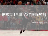 伊素美禾祖斯VS皇家哈勒姆