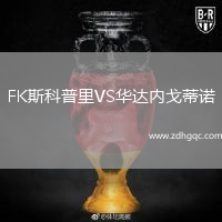 FK斯科普里VS華達(dá)內(nèi)戈蒂諾