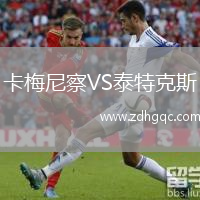 卡梅尼察VS泰特克斯