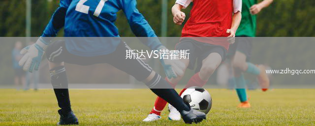 斯達(dá)VS諾霍斯