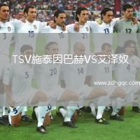 TSV施泰因巴赫VS艾澤奴