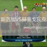 斯洛加VS赫塞戈瓦克