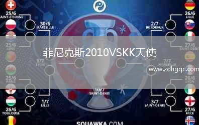 菲尼克斯2010VSKK天使