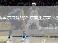 新奧爾良鵜鶘VS東南墨爾本鳳凰