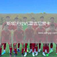 斯塔沃拉VS霍吉尼贊卡