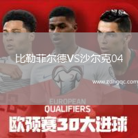 比勒菲爾德VS沙爾克04