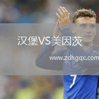 漢堡VS美因茨