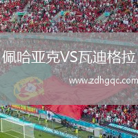 佩哈亞克VS瓦迪格拉