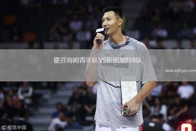 霍芬海姆青年隊VS斯圖加特B隊