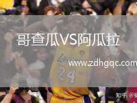 哥查瓜VS阿瓜拉