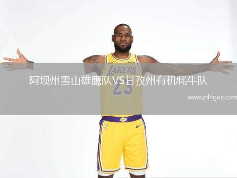 阿壩州雪山雄鷹隊(duì)VS甘孜州有機(jī)牦牛隊(duì)