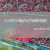 SSV貝爾瑙VSBSW斯希斯