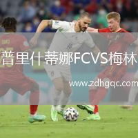 普里什蒂娜FCVS梅林