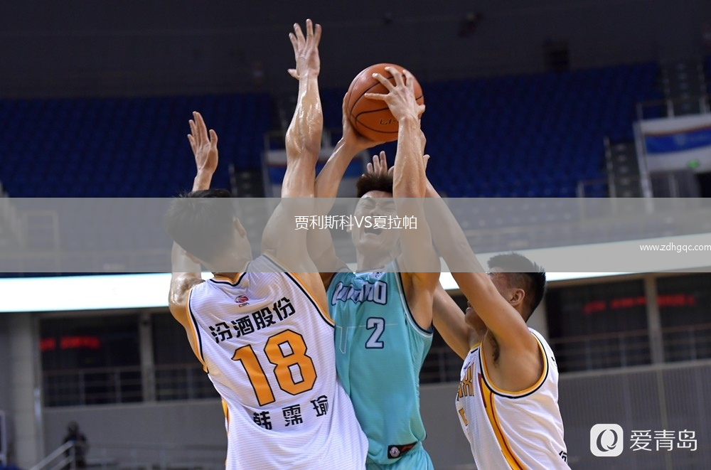 賈利斯科VS夏拉帕