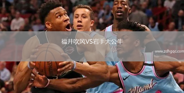 福井吹風(fēng)VS巖手大公牛