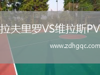 拉夫里羅VS維拉斯PV