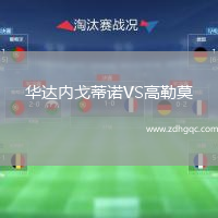 華達(dá)內(nèi)戈蒂諾VS高勒莫