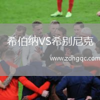 希伯納VS希別尼克