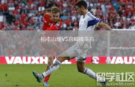 松本山雅VS宮崎棒牛鳥