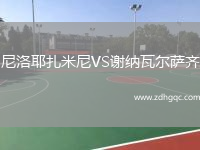 尼洛耶扎米尼VS謝納瓦爾薩齊