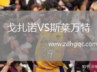 戈扎諾VS斯萊萬特