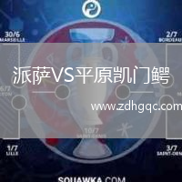 派薩VS平原凱門鱷