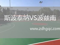 斯波泰納VS波茲南