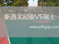斯洛文尼亞VS瑞士